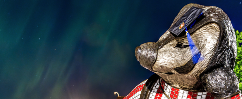 Bucky Badger overlooks the aurora borealis.